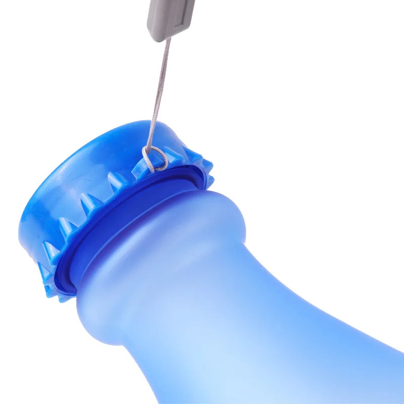 BPA & Toxic Free Water Bottle